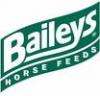paardenvoer van Baileys (Stud Cubes)